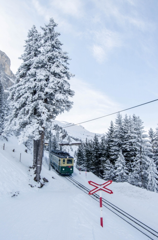 Mountain Train in Swiss winter landscape