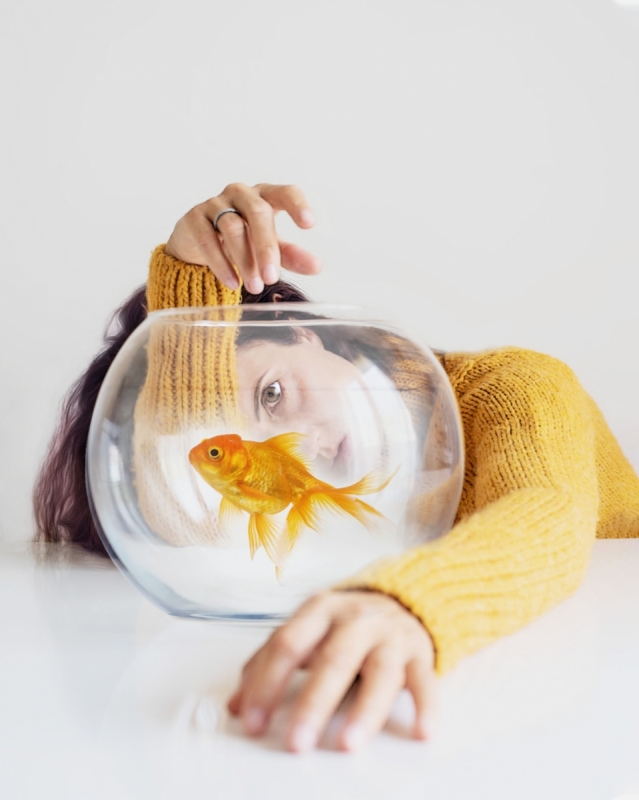 Art Photography Goldfish