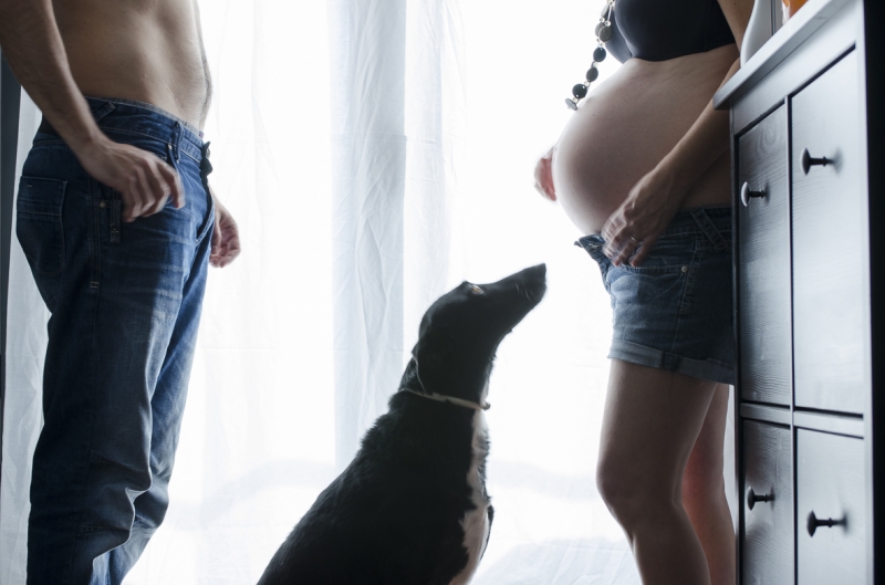 Adorable expecting mother, husband and dog welcome the new baby