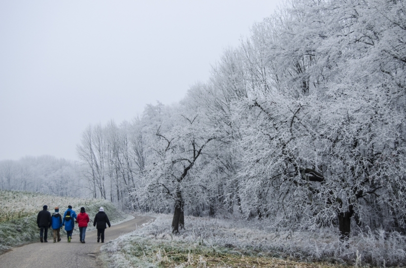 A winter walk in the frozen German countryside