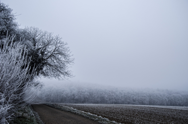 A winter walk in the frozen German countryside